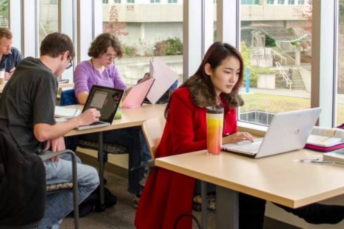 Cơ hội làm việc và định cư sau tốt nghiệp du học ở Mỹ và Canada